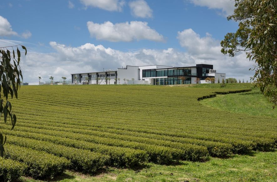 Zealong Tea Estate