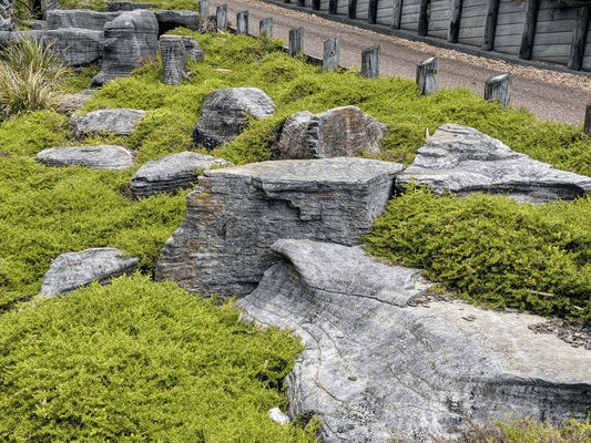 Paradise Stone Slabs and Feature Rocks