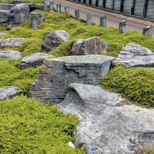 Paradise Stone Slabs and Feature Rocks