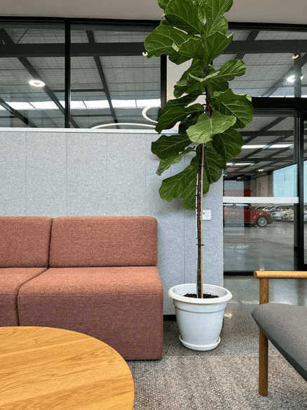 Whispa - Big River Panels