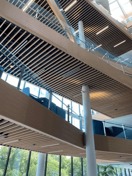 Décorslat Timber Battens - Big River Panels