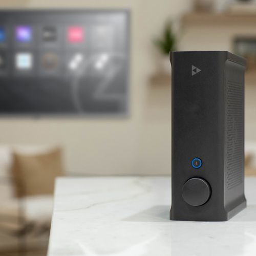 Triad SA1 Ryff-Enabled 200W x 2 Streaming Amplifier