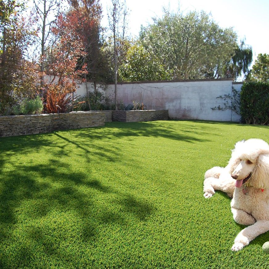 Summer Envy 44 Artificial Grass