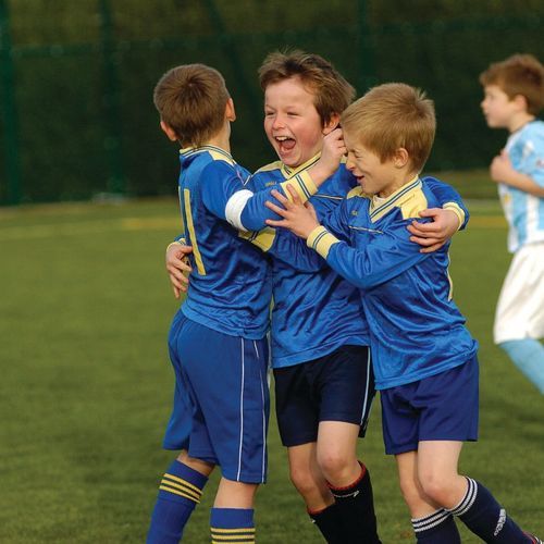Endurance Play Artificial Grass