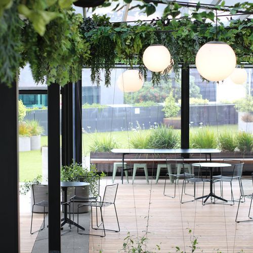 Artificial Plant Solutions | Hire Plants