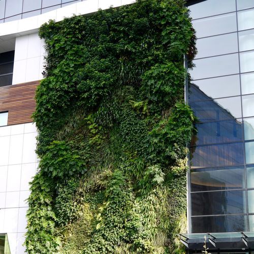 SRS Vertical Garden