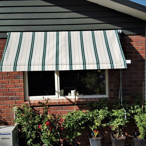 Robusta Window Awning