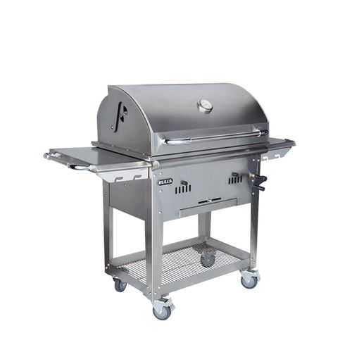 Bison Premium Charcoal Drop In Grill And Cart