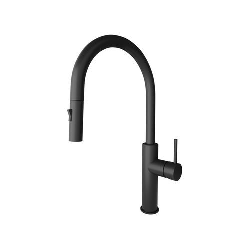 Pioneer Extractable Kitchen Mixer