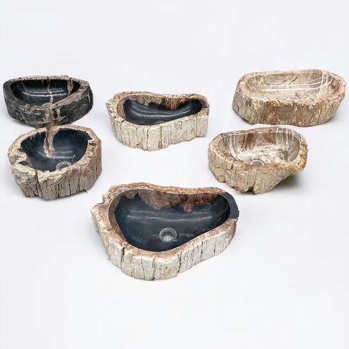 Petrified Wood Basins