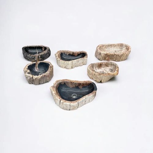 Petrified Wood Basins