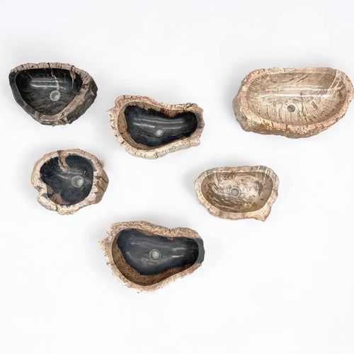 Petrified Wood Basins