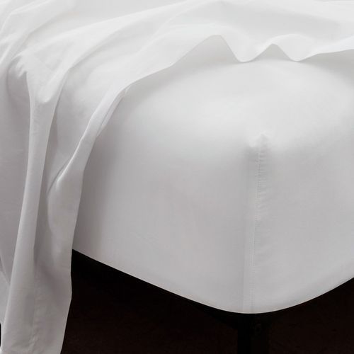 Cotton Percale Fitted Sheets