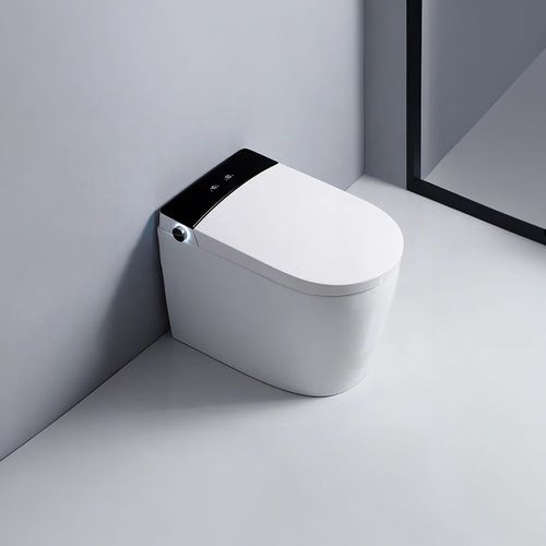 Intel Smart E-Bidet