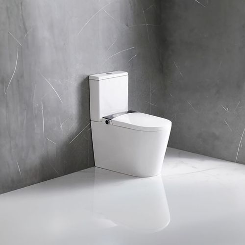 Intel Smart E-Bidet