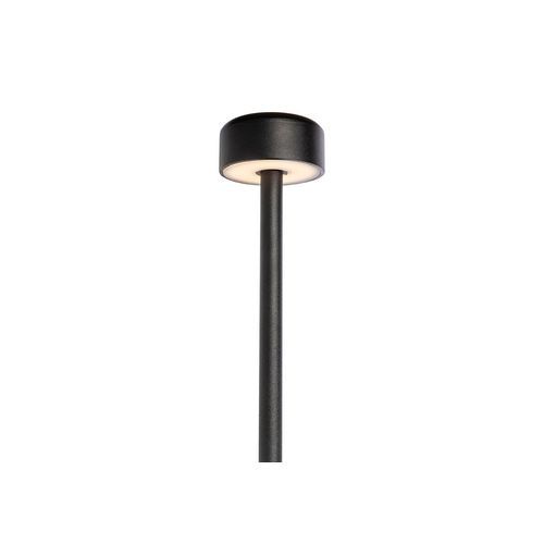Nocturnal Beetle Garden Light