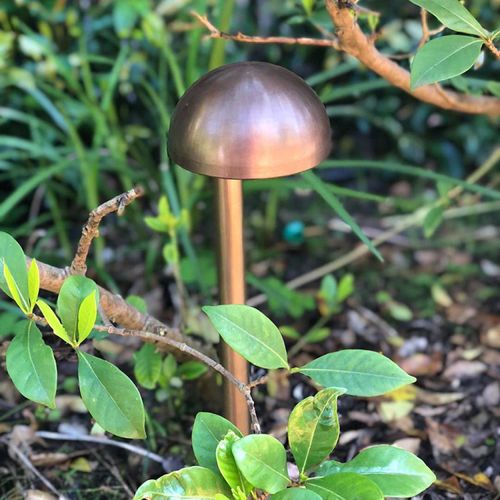 Nocturnal Bunyip Garden Light