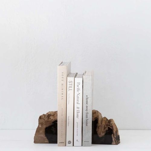 Petrified Wood Bookends / PAIR