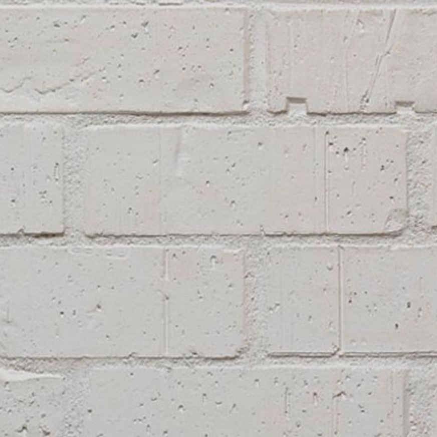 Wirecut Painter Brick