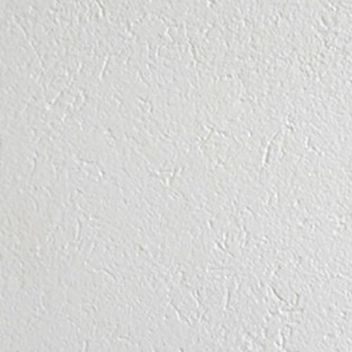 Plaster Painter Brick