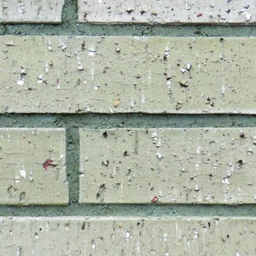 Rotoiti Romans Brick