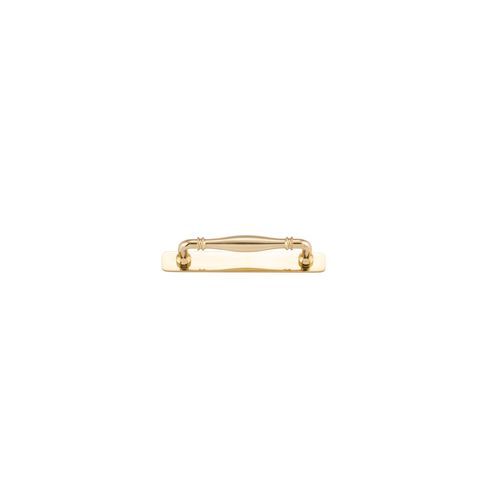 Sarlat Cabinet Pull with Backplate - CTC128mm