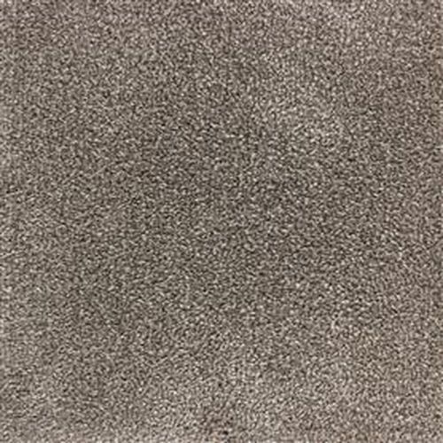 Bellezza Carpet