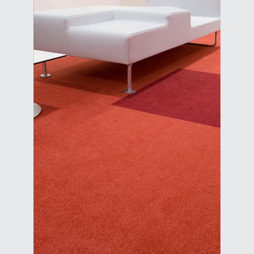 Cambridge& Cut Pile Carpet Tiles by modulyss