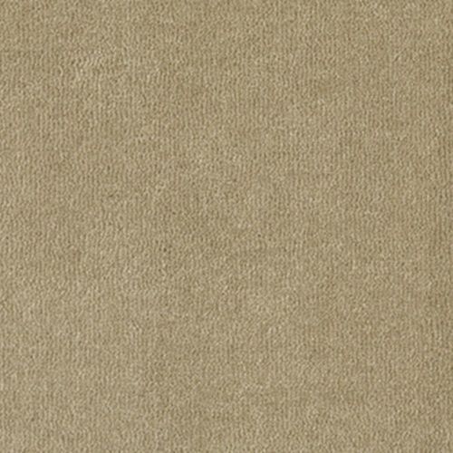Waldorf Carpet