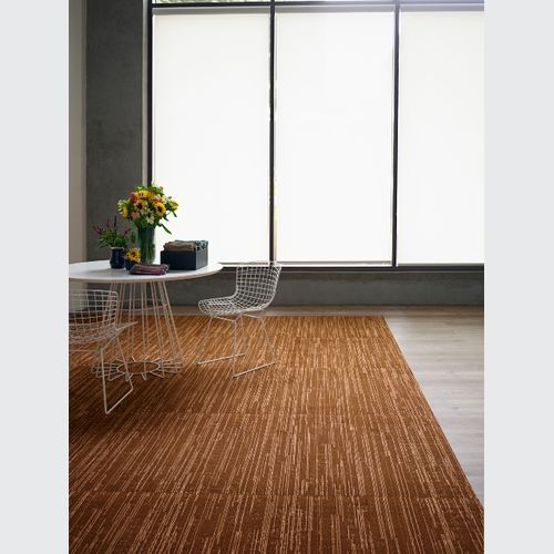 Kick Start Carpet Range From Bentley
