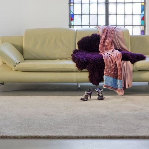 Wild Romance Carpet
