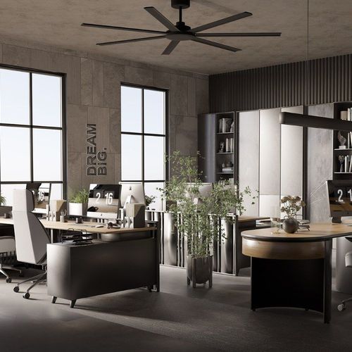 Alula 80" Ceiling Fan