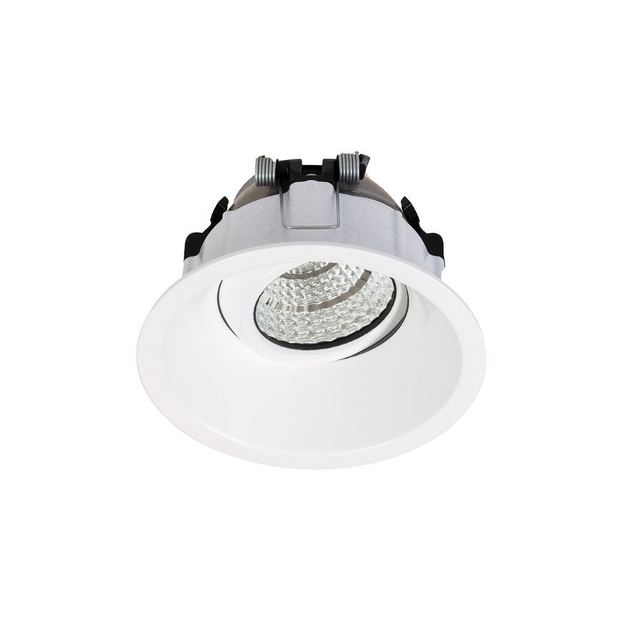 D-LIGHTZ Deep Tilt  Downlight