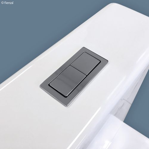 Back to Wall Toilet Flush Buttons