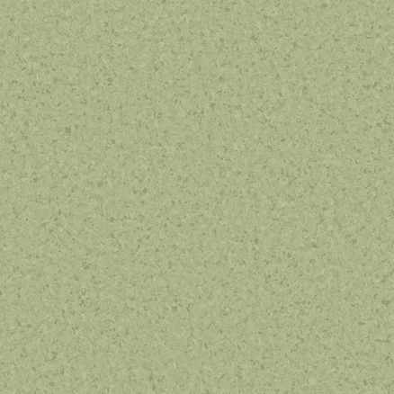 Accolade Plus | Casaurina
