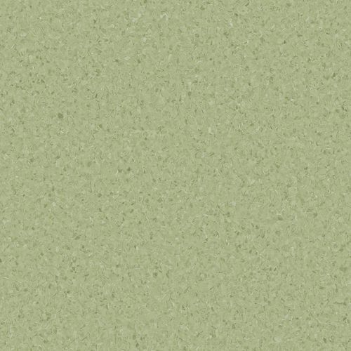 Accolade Plus | Casaurina
