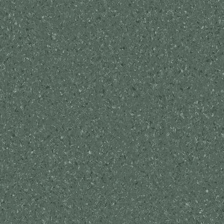 Accolade Plus | Moreton Fig