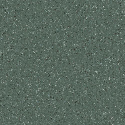 Accolade Plus | Moreton Fig