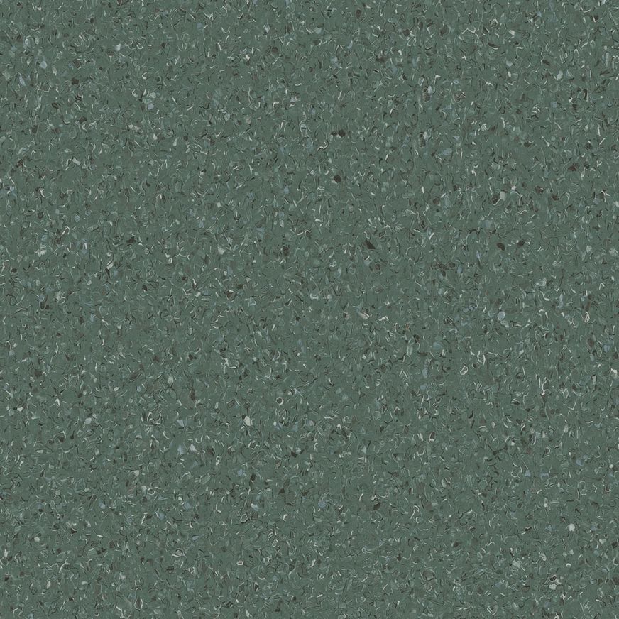 Accolade Plus | Moreton Fig