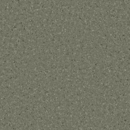 Accolade Plus | Mangrove