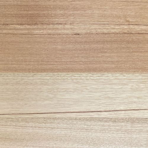 EP142 Tasmanian Oak