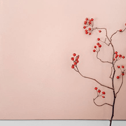 Microsilk Microcement | Corinthian Clay