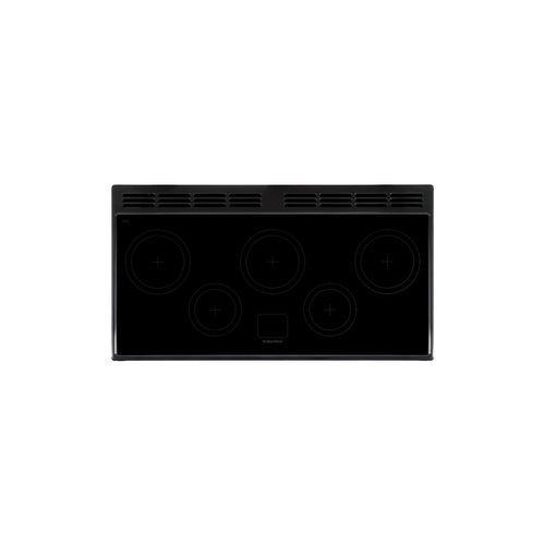 Falcon Professional+ 110cm Induction Range Cooker