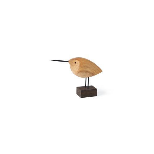 Beak Birds