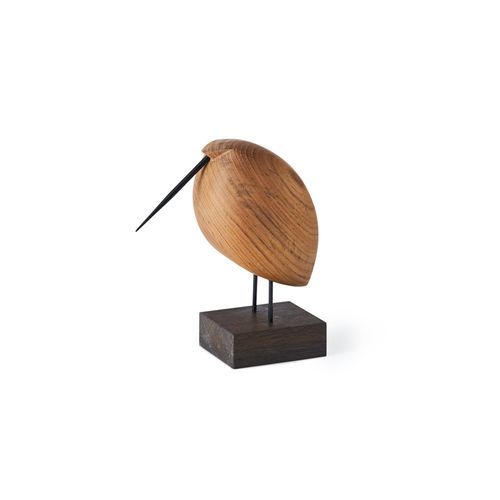 Beak Birds