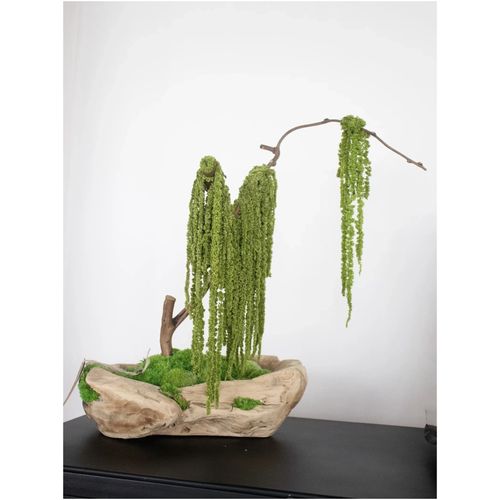 Green Moss Bonsai Tree