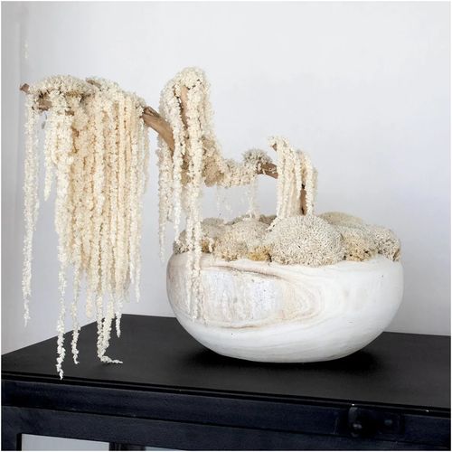 Ivory Moss Bonsai Tree