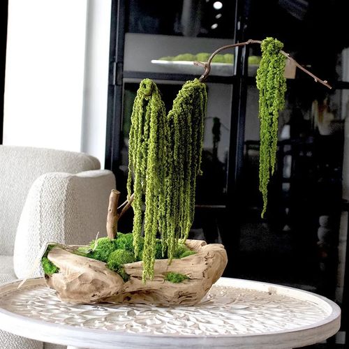 Green Moss Bonsai Tree