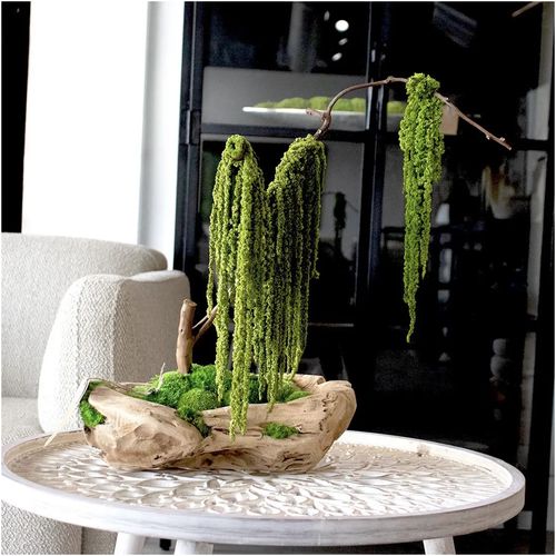 Green Moss Bonsai Tree