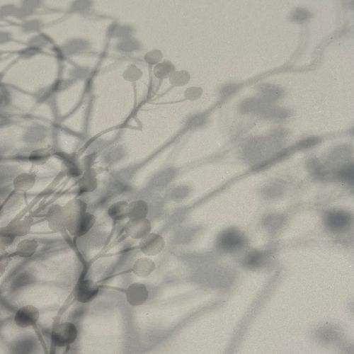 Polished Plaster | Apollo Grey